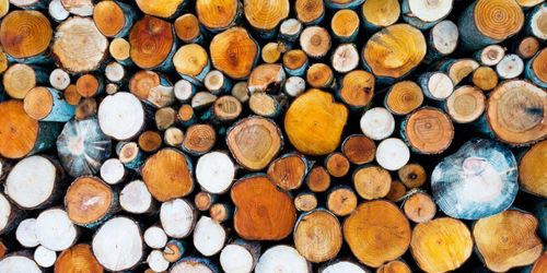 Kraftigt vinstlyft för SCA