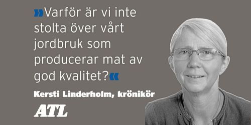 Låt inte industrin ta åt sig all klimatära