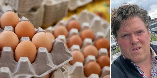 Lukten stoppade hans äggplaner