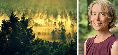 Visionära mål kräver vetenskaplig analys