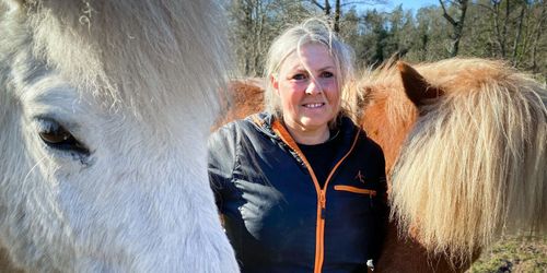 Hästgårdar kämpar för sin överlevnad