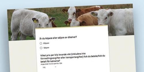 Få koll på priset med ATL:s dikalvsenkät