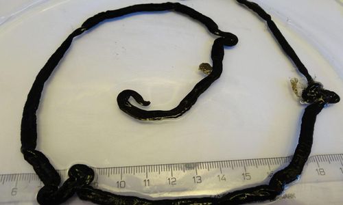 Växtskyddsmedel från Sveriges giftigaste djur