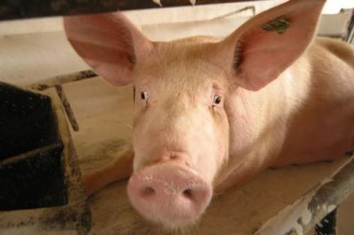 Axzon vill att allt saneras