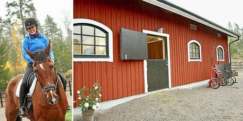 Byggde eget drömstall med smarta lösningar