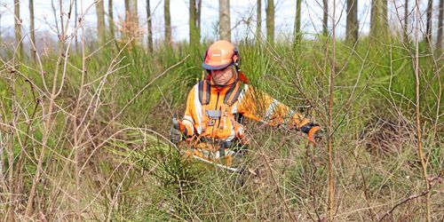 Svalt intresse för skoglig skatteskärpning