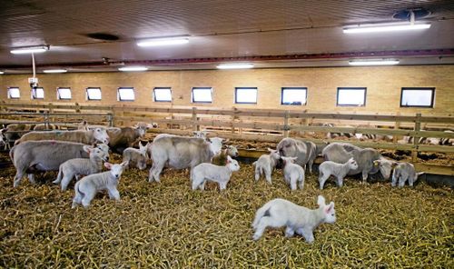 Klart: De tar över Tangará Farm