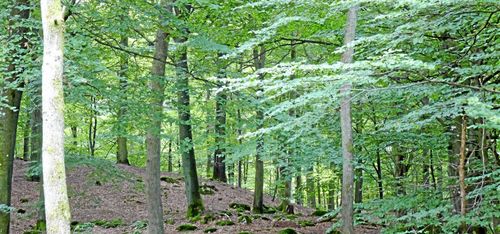 Så lyckas du med bokföryngringen