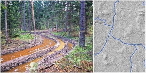 Ny karta ska minska körskador i skogen