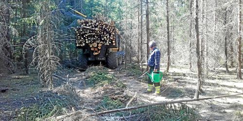 Virkesbrist hotar efter svår skogstorka