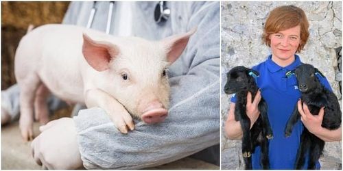 Vi måste behålla försprånget i antibiotikakampen