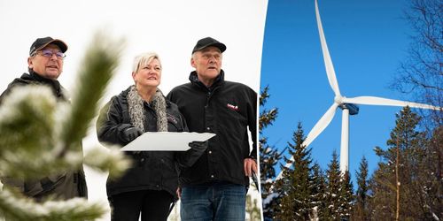 Markägarna gjorde allt själva – vindkraft utan bråk