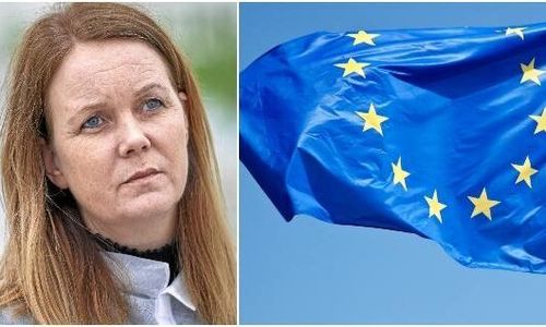 Nilsson: Miljöåtgärder går före inkomststöd