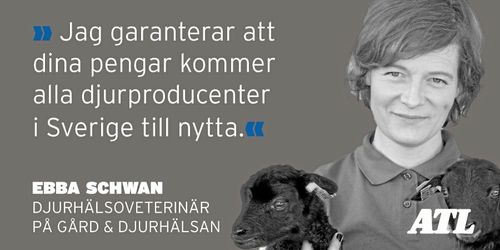 ”Jag vet vart dina pengar tar vägen”
