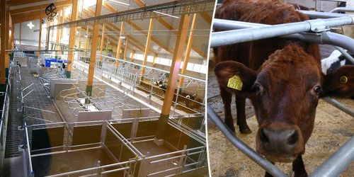 Nu tas Vretas nya ladugård i drift