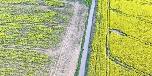 Fälten såddes samtidigt – skillnaden förbryllar