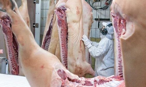 HK Scan säger upp personal