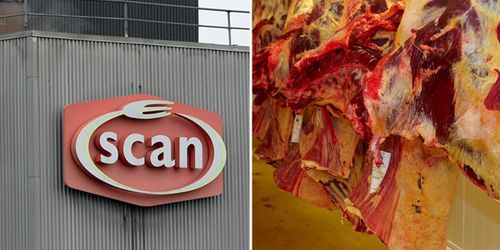 Efter nobben: Nytt samarbete för HK Scan