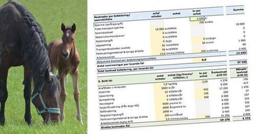 Nytt verktyg ger koll på kostnaderna