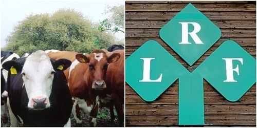 Ställer LRF upp på mjölkböndernas krav?