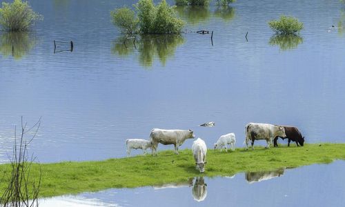 Mångmiljonskador efter översvämningar