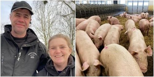 ”Man ska bygga i en svacka”