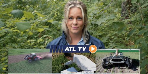 ATL TV: Här rensar roboten ogräs