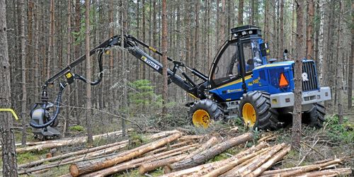 16 miljoner kickar i gång skogsprogram