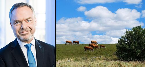 Liberalerna sparar på lantbruk och miljö