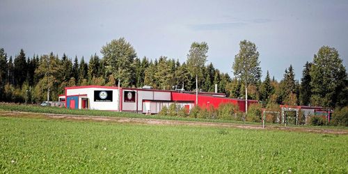 Slakteriet som satsar för att minska köer