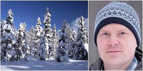 Markägare överklagar stoppade avverkningar