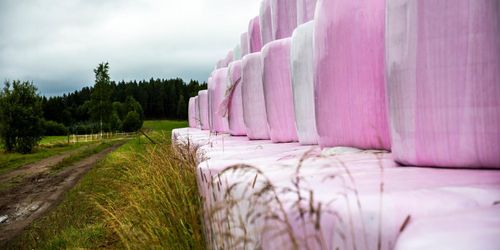 Svårt att återvinna färgad balplast