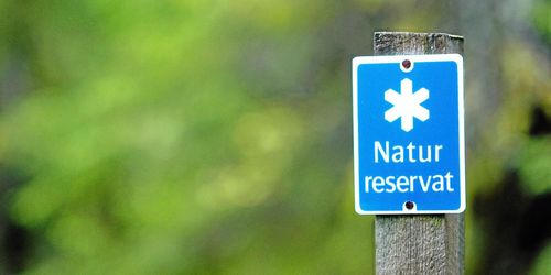 Så ska skyddet av skogen bli bättre