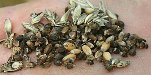 Lantbrukare har stoppats från att leverera