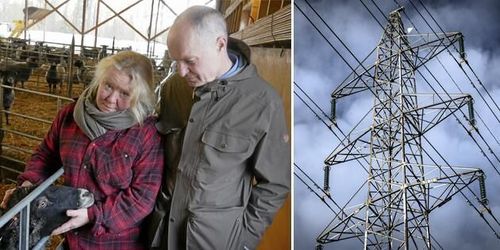 Nya kraftledningen hotar deras företag