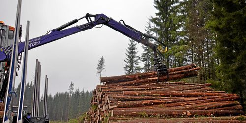 Nu höjer Södra priset igen