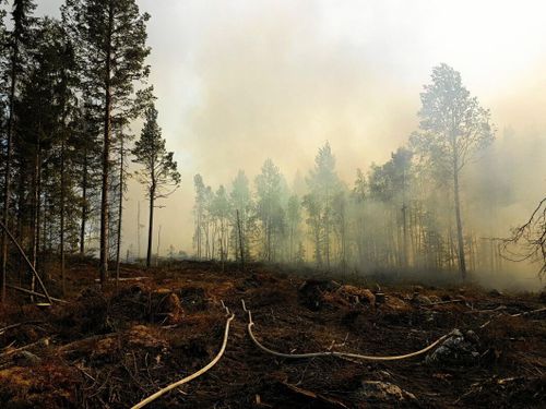 Se upp med kostnaden för brandbevakning