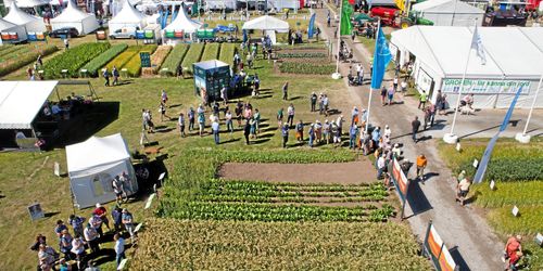 Borgeby utökar med en extra dag