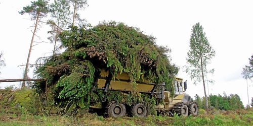 Så räknar du ut om groten blir lönsam