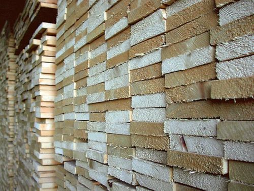 Tät doldis växer med träbygg