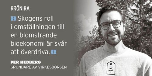 Framtidens företag behövs i skogen också