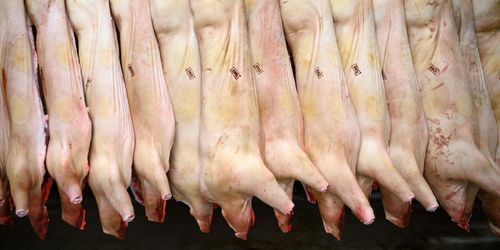 Nytt vitesföreläggande för kritiserat slakteri