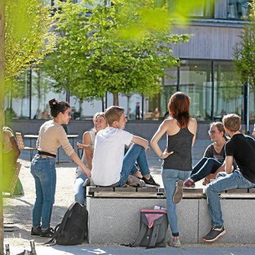 Ökat intresse för grönt företagande