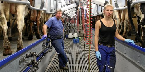 Rationellt fiskbensstall ersatte mjölkrobotar