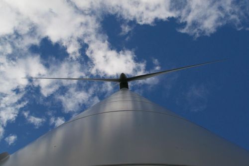 Vindkraftbolag avverkade privat skog