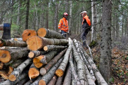 SCA gjorde sämre resultat än väntat