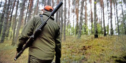 ”Vildsvinsjakten måste bli effektivare”