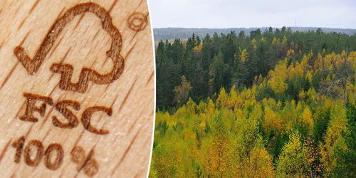 Nya krav kan få skogsägare att hoppa av FSC