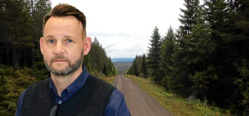 Skogsmarknaden stekhet för bolag