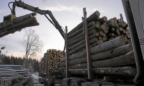 Så ska virket komma in